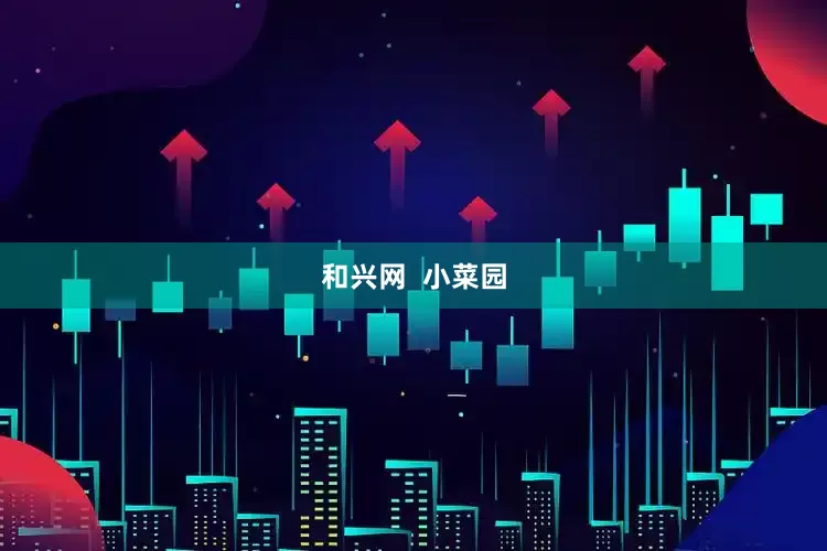 和兴网  小菜园