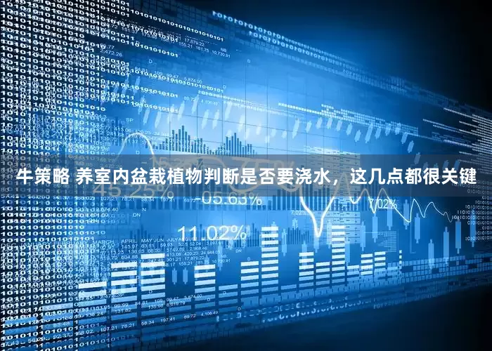牛策略 养室内盆栽植物判断是否要浇水，这几点都很关键