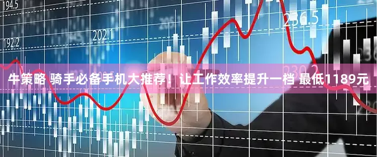 牛策略 骑手必备手机大推荐！让工作效率提升一档 最低1189元