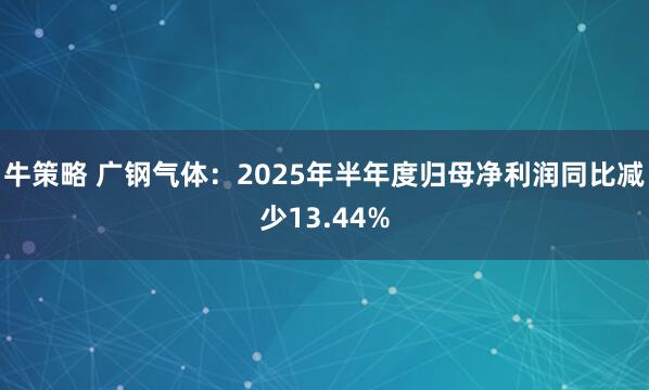 牛策略 广钢气体：2025年半年度归母净利润同比减少13.44%