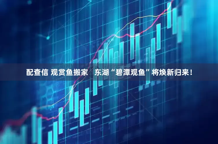 配查信 观赏鱼搬家   东湖“碧潭观鱼”将焕新归来！