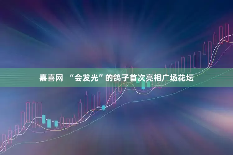 嘉喜网  “会发光”的鸽子首次亮相广场花坛