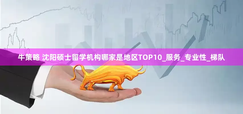 牛策略 沈阳硕士留学机构哪家是地区TOP10_服务_专业性_梯队