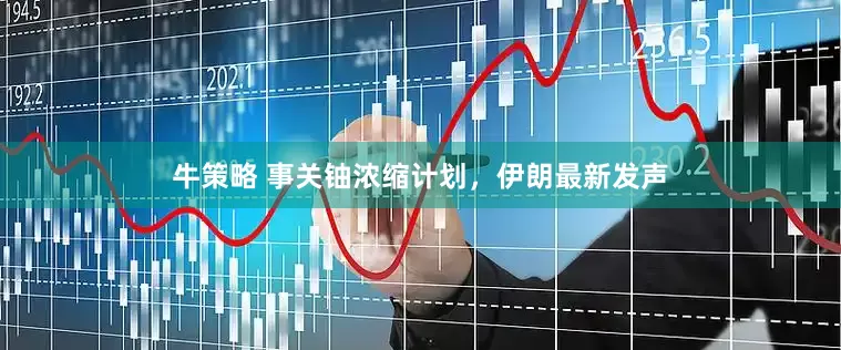 牛策略 事关铀浓缩计划，伊朗最新发声